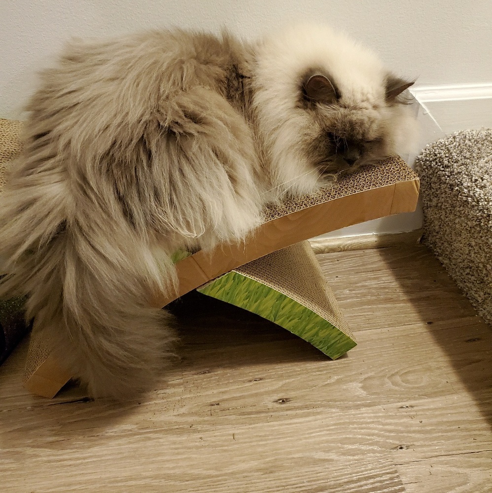 Meet your Posher, Nel